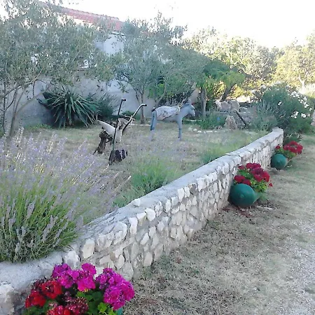 Marta Apartman Posedarje